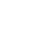 Egyptian Customs Authority